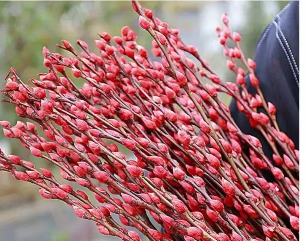 Kvgizpo Artificial flower arrangements 30 pieces of red willows, used as artificial flowers for wedding flower arrangement, party decoration, Christmas, and home decoration.