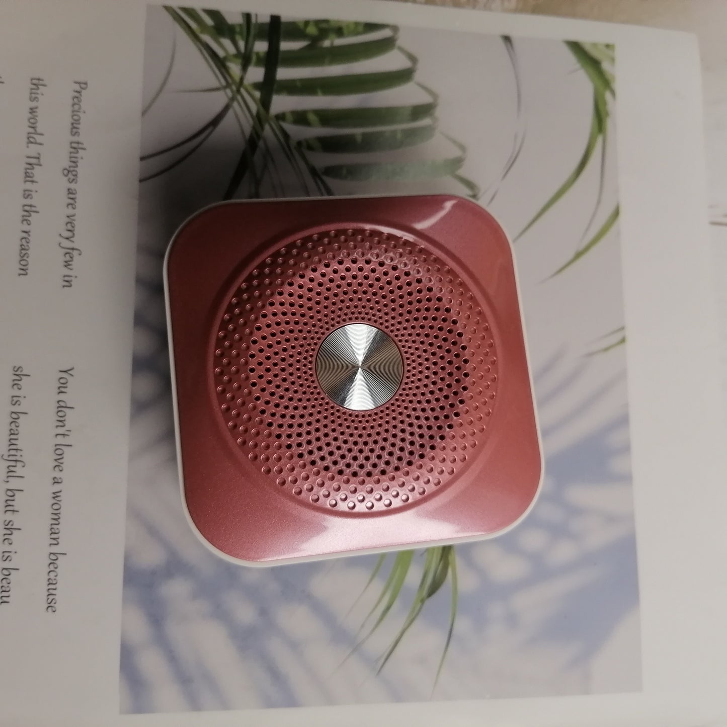 Wolfbox Microphones Powerful Original Sound Amplifier - Ultra-Long Battery Life, Compact, No Distortion