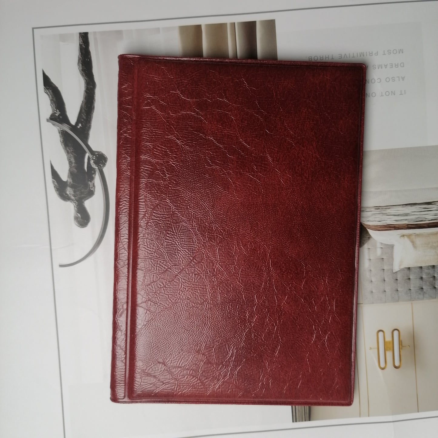 AZSG Albums for coins PVC Free 120 Pockets Coin Collecting Storage Album Organizer