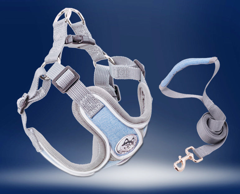 Mdebetdog Dog collars and leads,COMFORTABLE AND SECURE