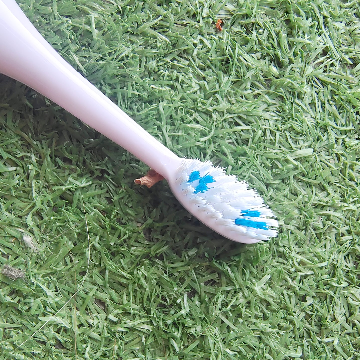 GottaShine Electric tooth brushes, fit any oral care needs