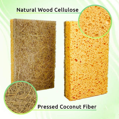 Eco Friendly Kitchen Sponge for Sustainable Living Biodegradable Plant Based Cleaning Dish Sponge Natural Sponge