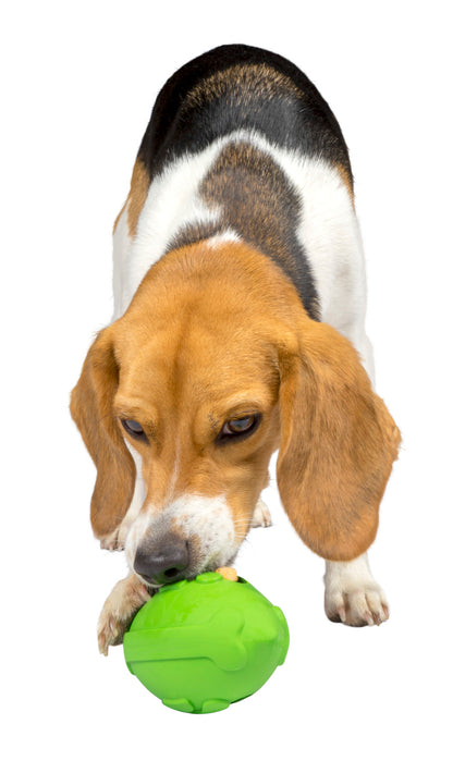 Treat Holding Dog Toy - Football With Treat Dispensing Design - Durable Treat and Chew Toy for pets