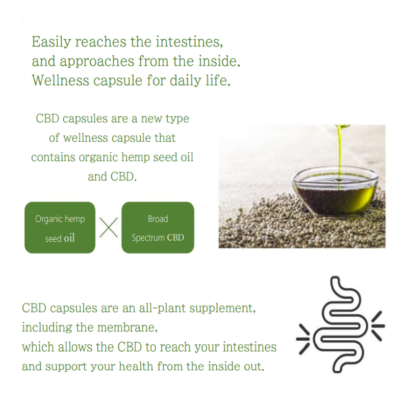 KANGONLY Carefully selected ingredients vegetable hemp seed oil Health food supplements capsules