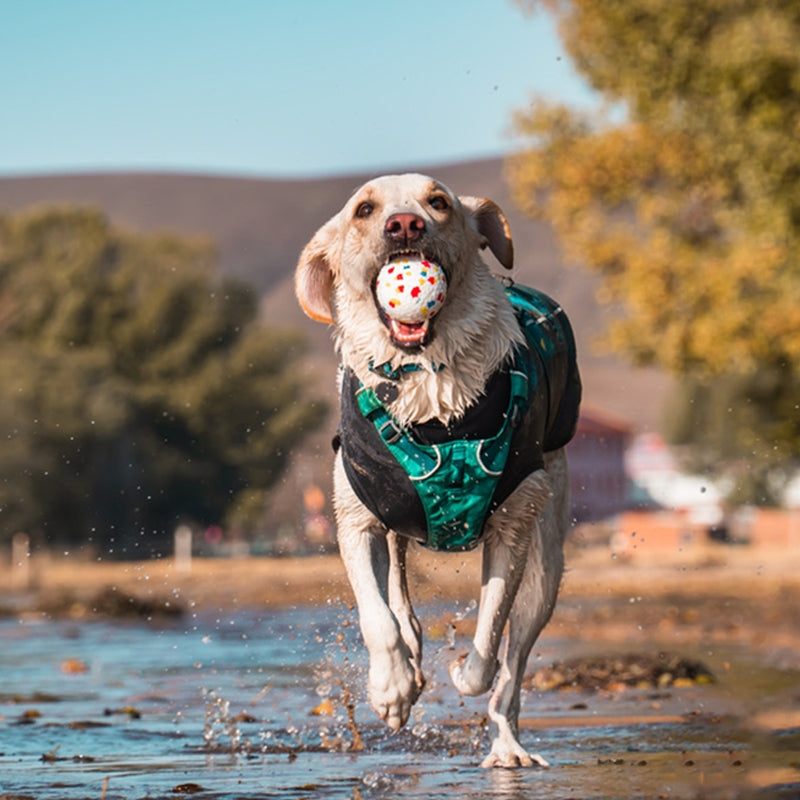 FUSHUI New Material Pet toys Eco-Friendly Indestructible Pet Dog Chew Toys Interactive Dog Balls