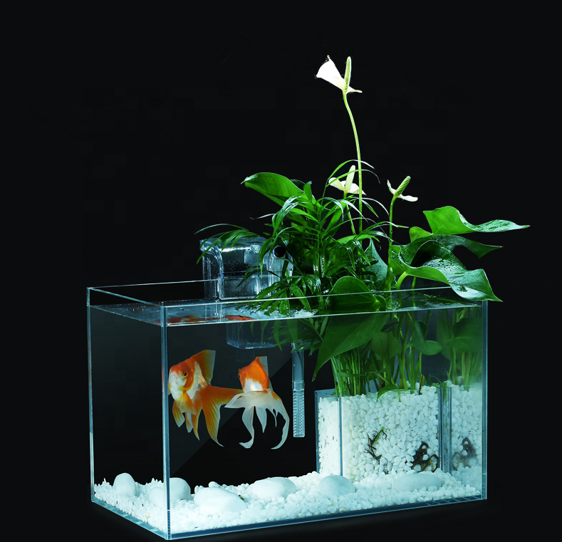 VicFlora Glass Aquarium 5 In 1 Glass Fish Tank