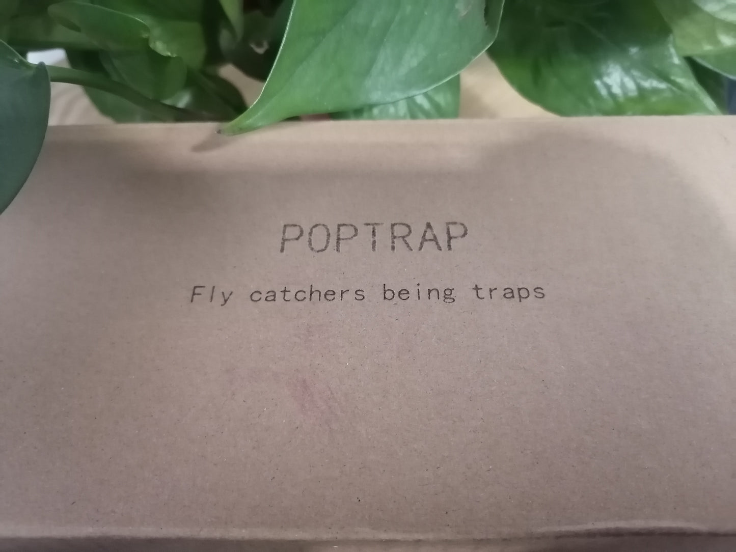 POPTRAP Fly catchers being traps, Various Places to Use