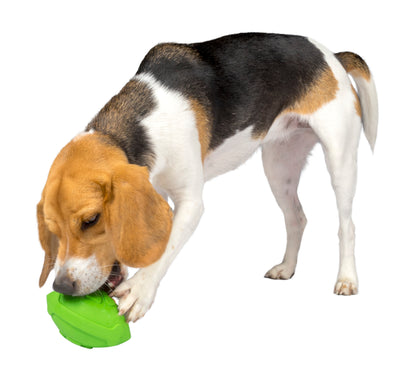 Treat Holding Dog Toy - Football With Treat Dispensing Design - Durable Treat and Chew Toy for pets