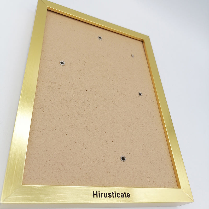 Hirusticate metal Picture frames and posters metal frame collection